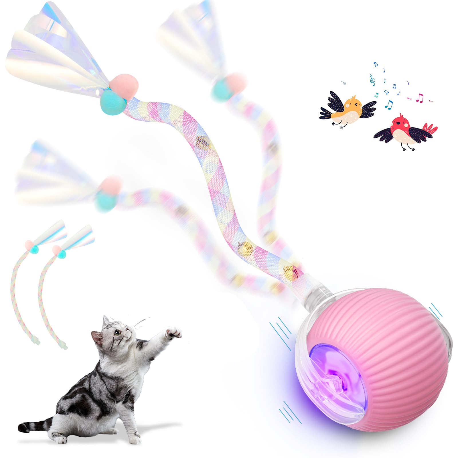 Qpets® Interactive Cat for Indoor Cats Qpets® Interactive Cat for Indoor Cats